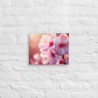 Exclusive Art Canvas - Nature - Flowers 1 (Horizontal) - 11″×14″ - 