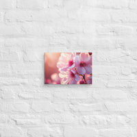 Exclusive Art Canvas - Nature - Flowers 1 (Horizontal) - 8″×12″ - 