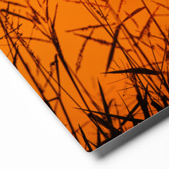 Premium Glossy Metal Wall Art - Grass & Sunset