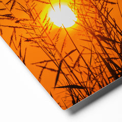 Premium Glossy Metal Wall Art - Grass & Sunset