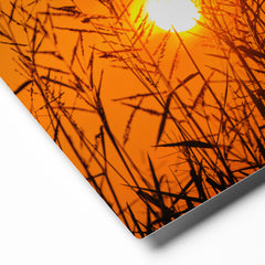 Premium Glossy Metal Wall Art - Grass & Sunset