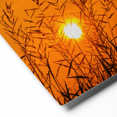 Premium Glossy Metal Wall Art - Grass & Sunset